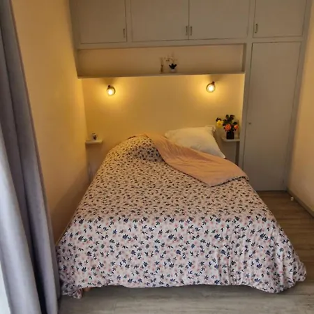 La Musardiere Apartment Grand-Aigueblanche